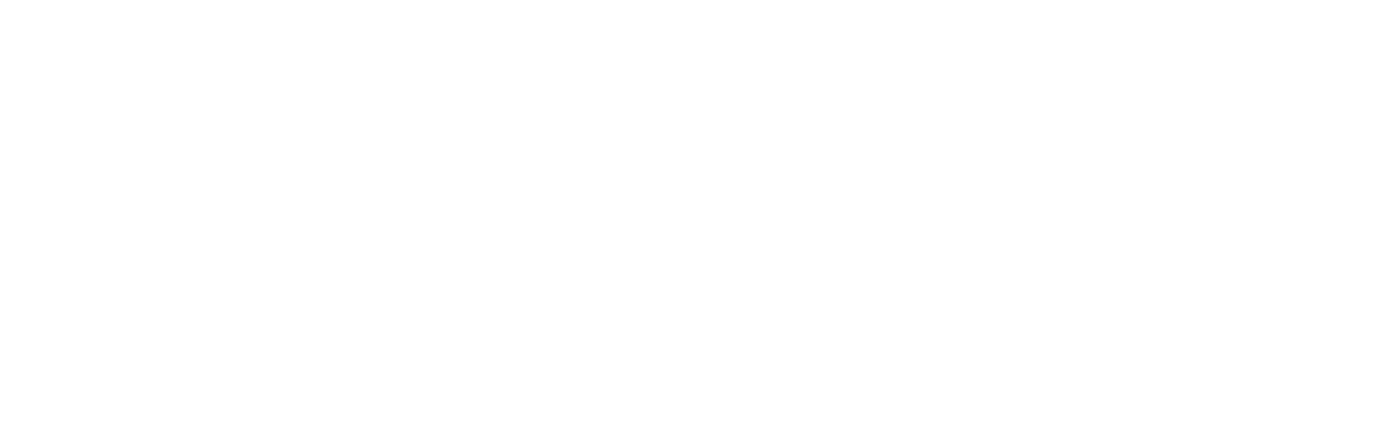 FIDIA SOLUTIONSのロゴ
